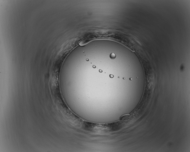 X0000116880515200912291245