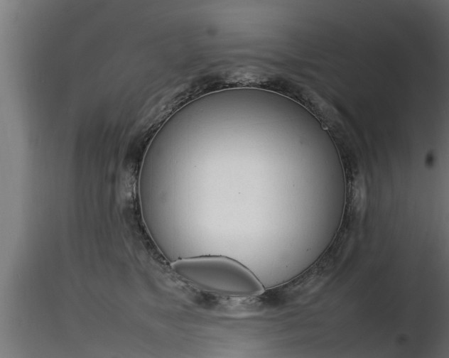 X0000116880517200912291245