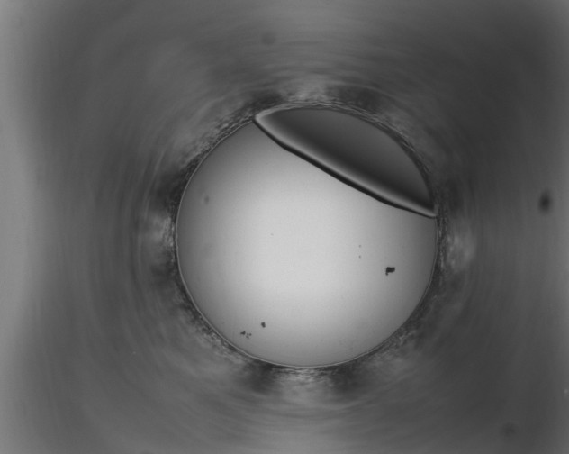 X0000116880521200912291245