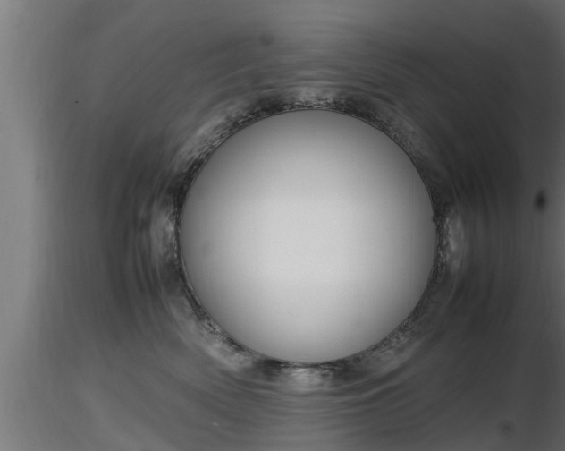X0000116880522200912291245