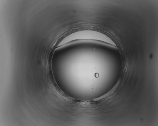 X0000116880524200912291245