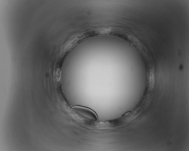 X0000116880525200912291245