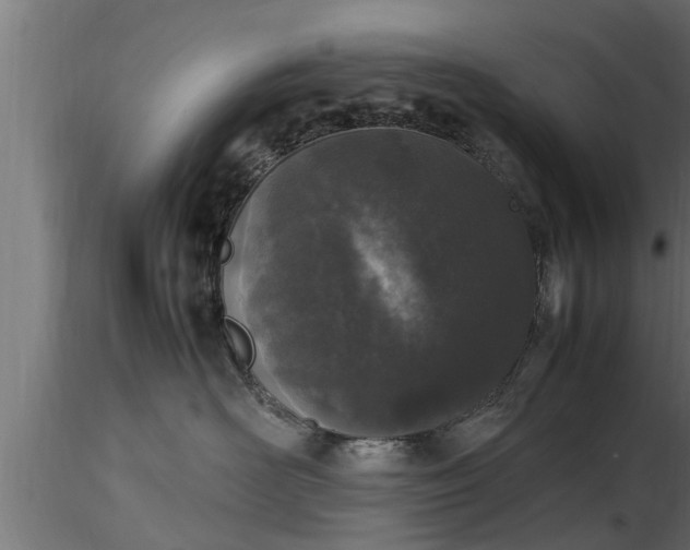 X0000116880526200912291245