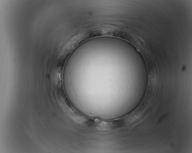X0000116880527200912291245