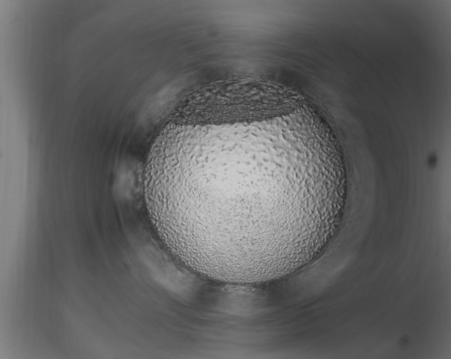 X0000116880528200912291245