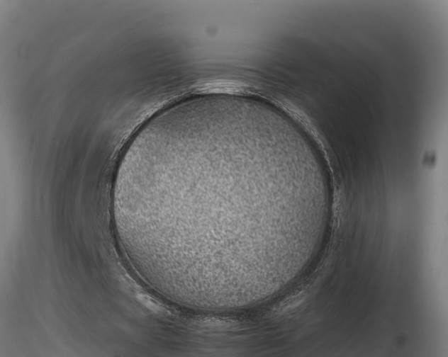 X0000116880529200912291244