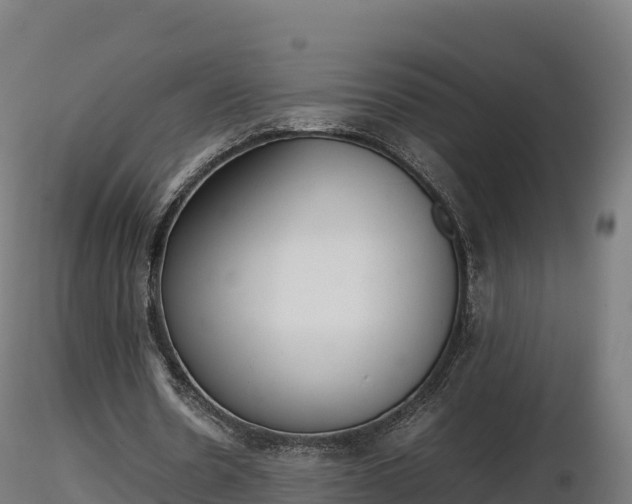 X0000116880530200912291244