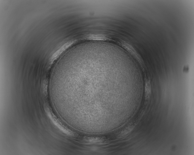 X0000116880533200912291244