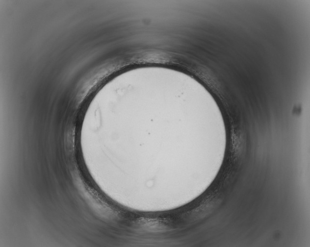 X0000116880534200912291244