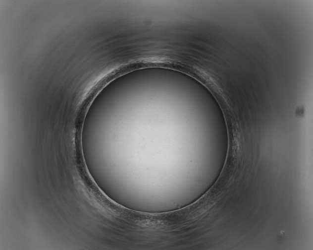 X0000116880535200912291244