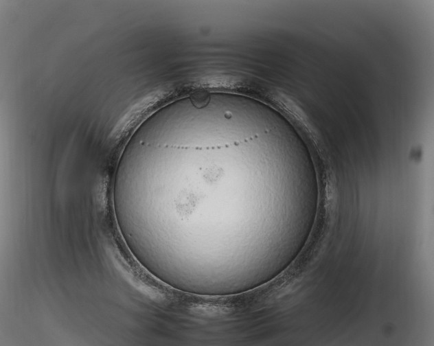 X0000116880537200912291244