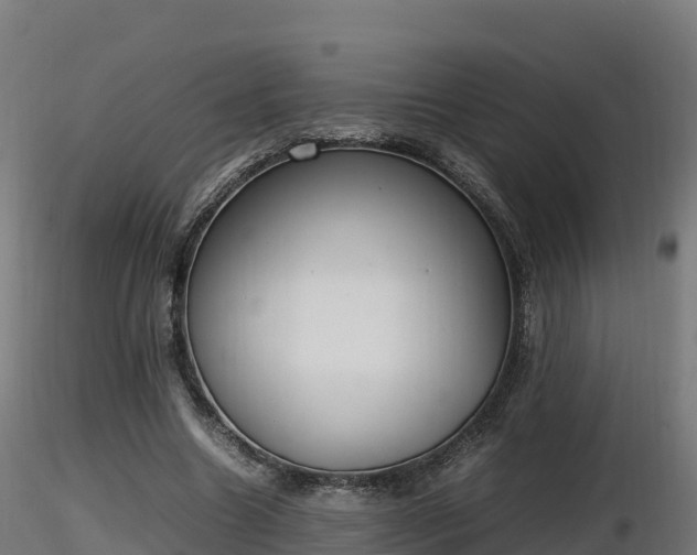 X0000116880538200912291244