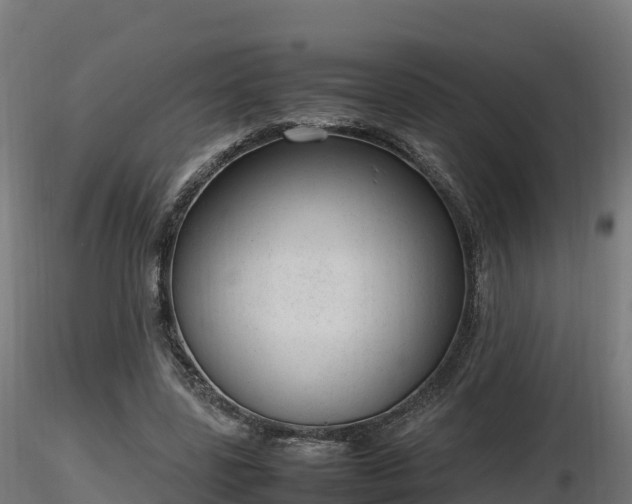 X0000116880539200912291244