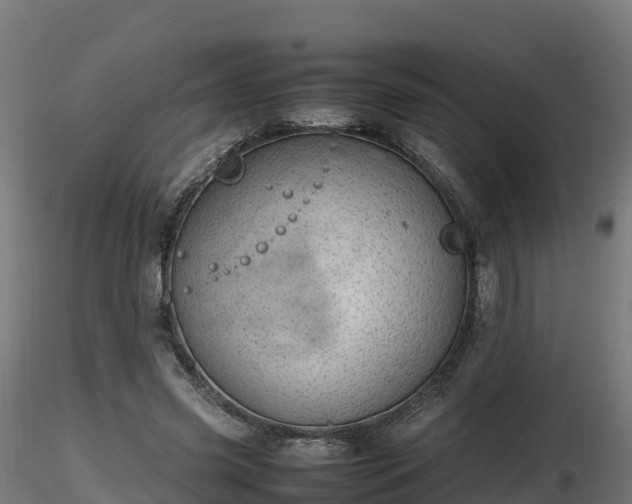 X0000116880541200912291244