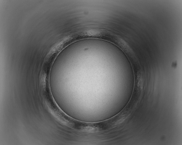 X0000116880542200912291244