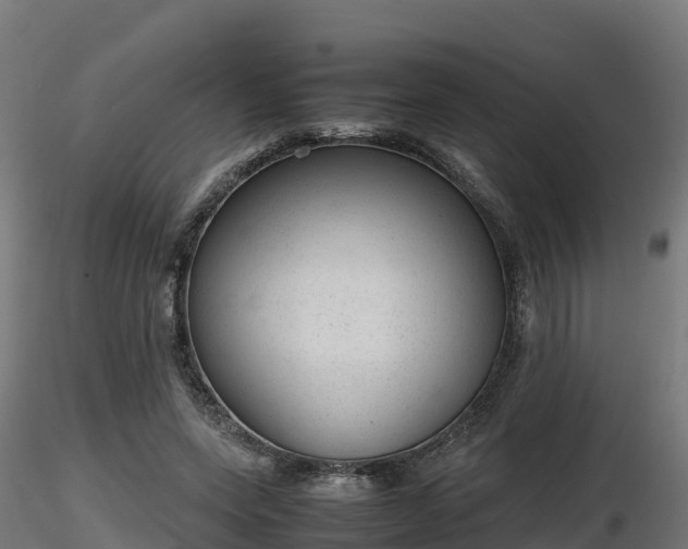 X0000116880543200912291244