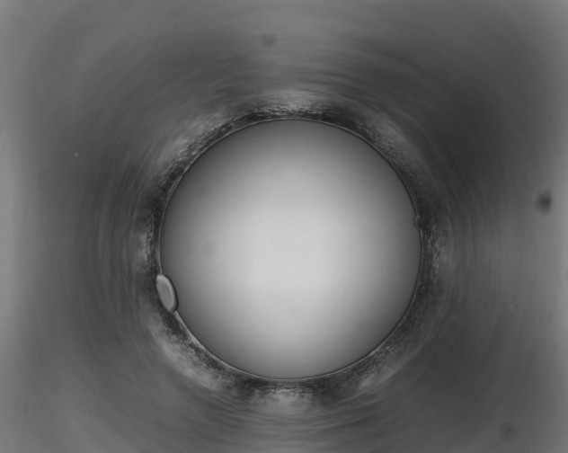 X0000116880546200912291244