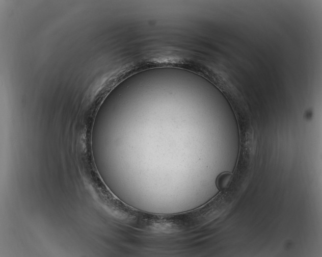 X0000116880547200912291244
