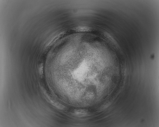 X0000116880549200912291244