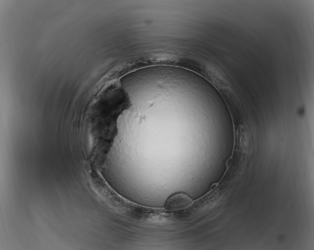 X0000116880550200912291244