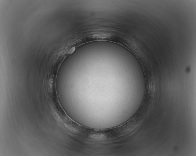 X0000116880551200912291244