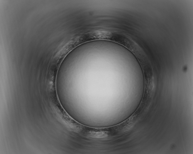 X0000116880553200912291244