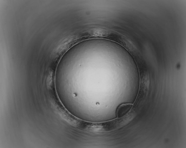 X0000116880554200912291244