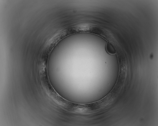 X0000116880555200912291244