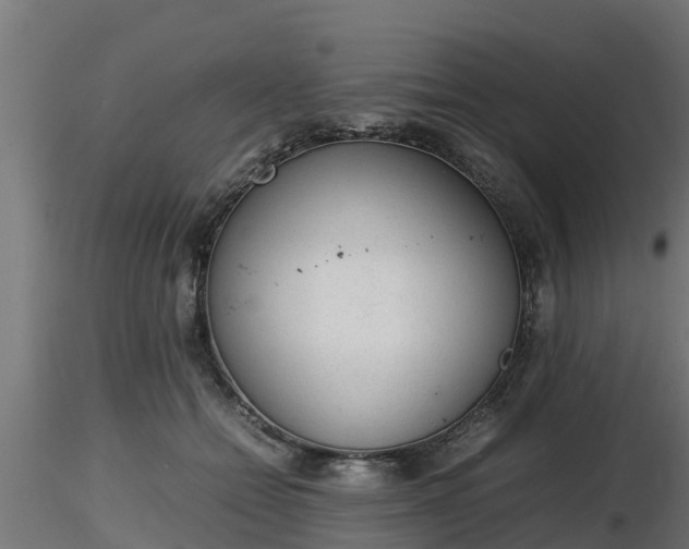 X0000116880558200912291244