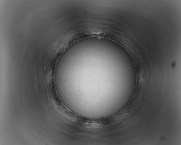 X0000116880559200912291244