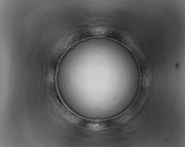 X0000116880561200912291244