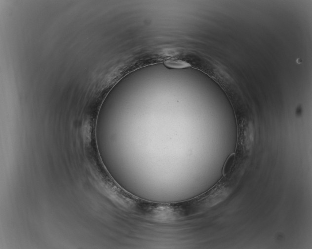 X0000116880562200912291244