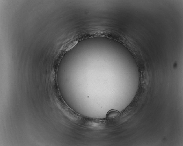 X0000116880563200912291244