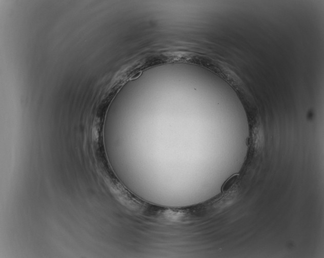 X0000116880570200912291245