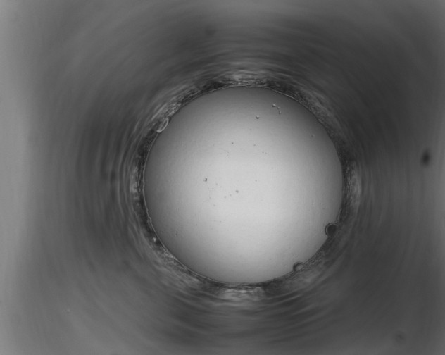 X0000116880571200912291245