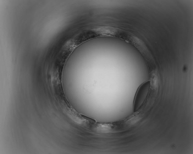 X0000116880573200912291245