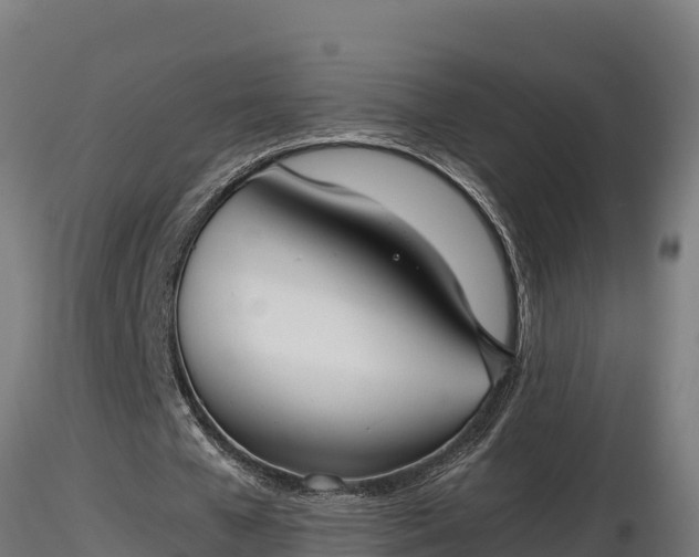 X0000116880577200912291244