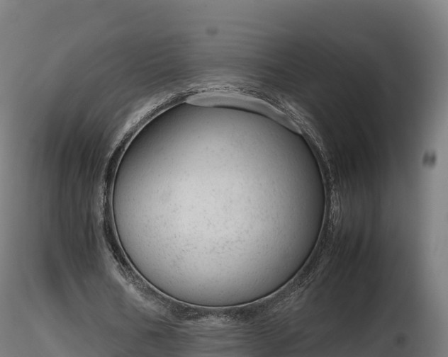 X0000116880578200912291244