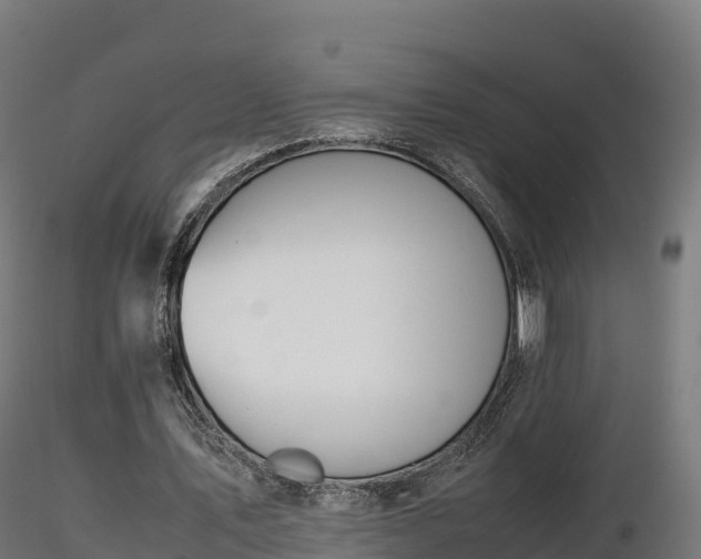 X0000116880579200912291244