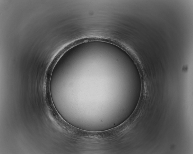 X0000116880580200912291244