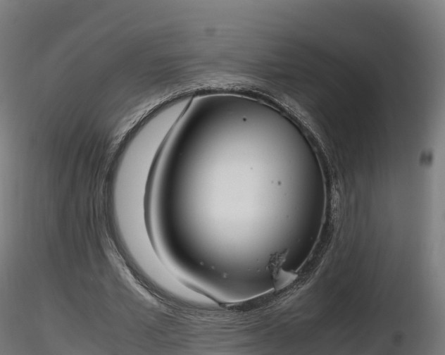 X0000116880581200912291244
