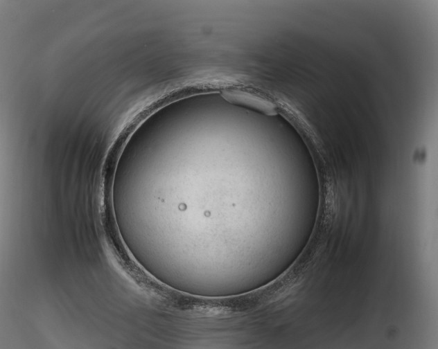 X0000116880582200912291244