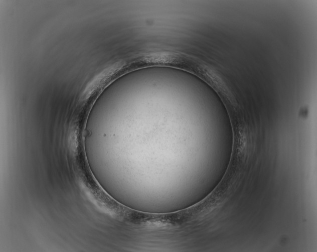 X0000116880586200912291244