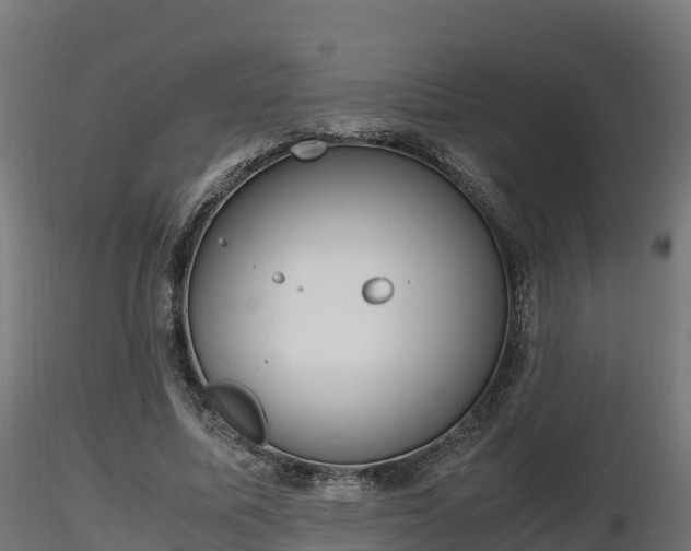 X0000116880587200912291244