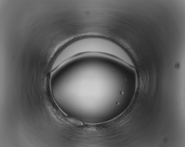 X0000116880588200912291244