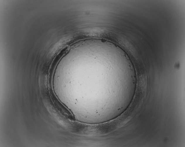 X0000116880589200912291244