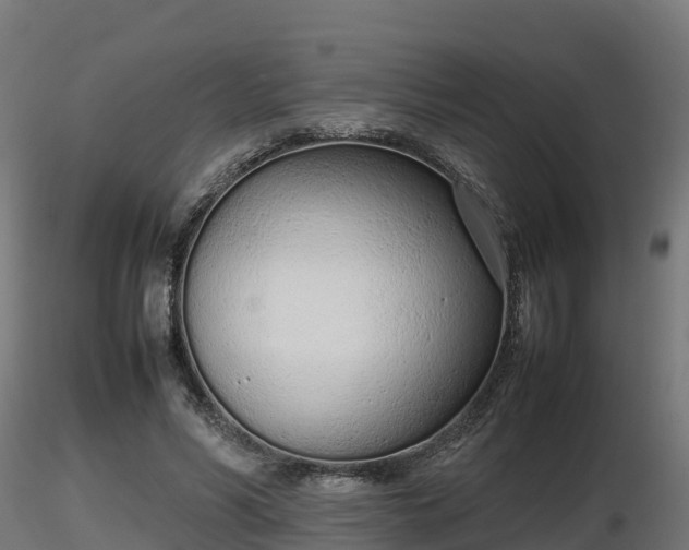 X0000116880590200912291244