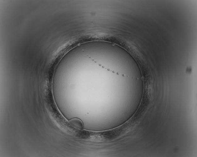 X0000116880591200912291244