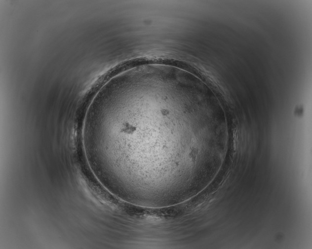X0000116880592200912291244