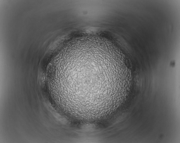 X0000116880593200912291244
